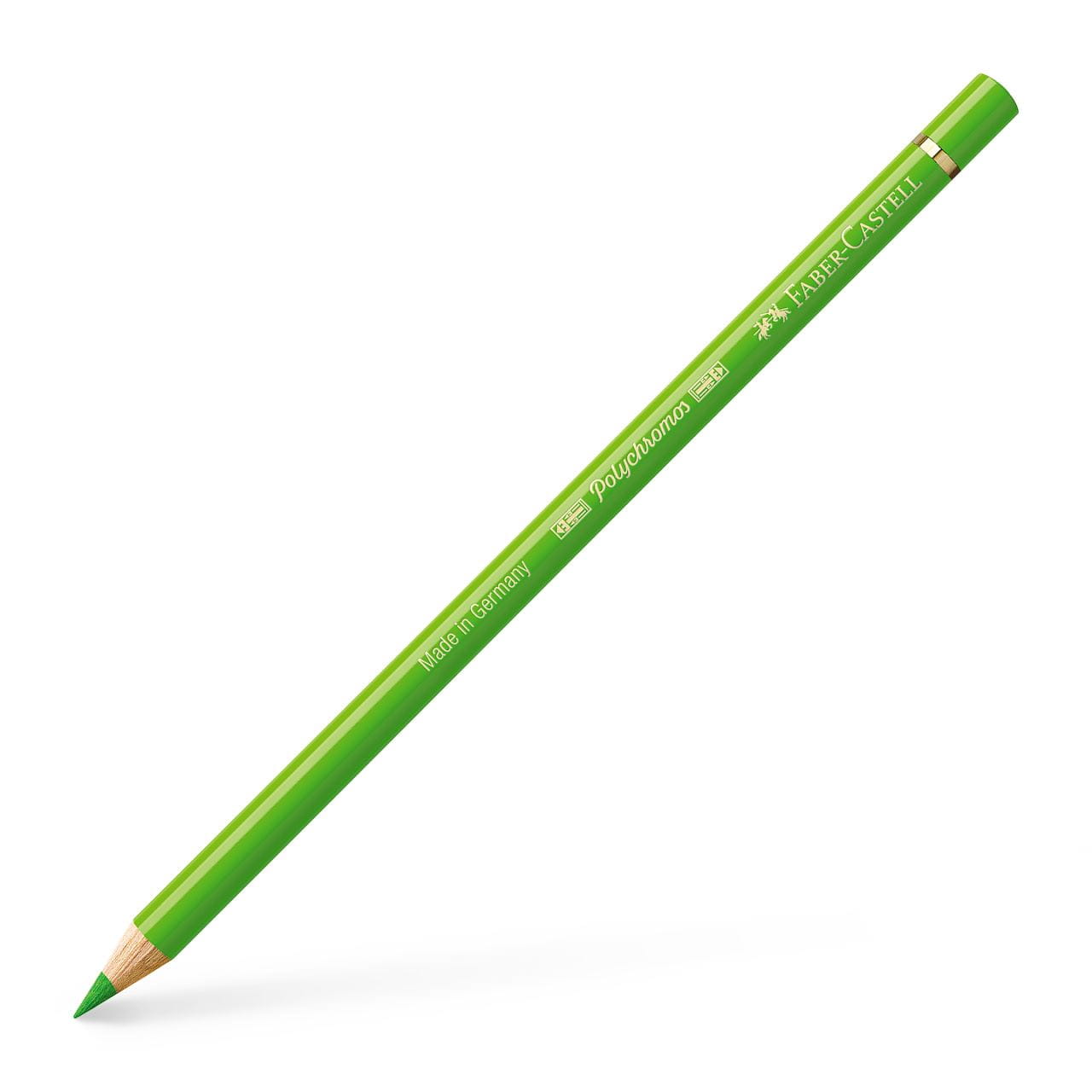 Faber-Castell - Polychromos colour pencil, 166 grass green