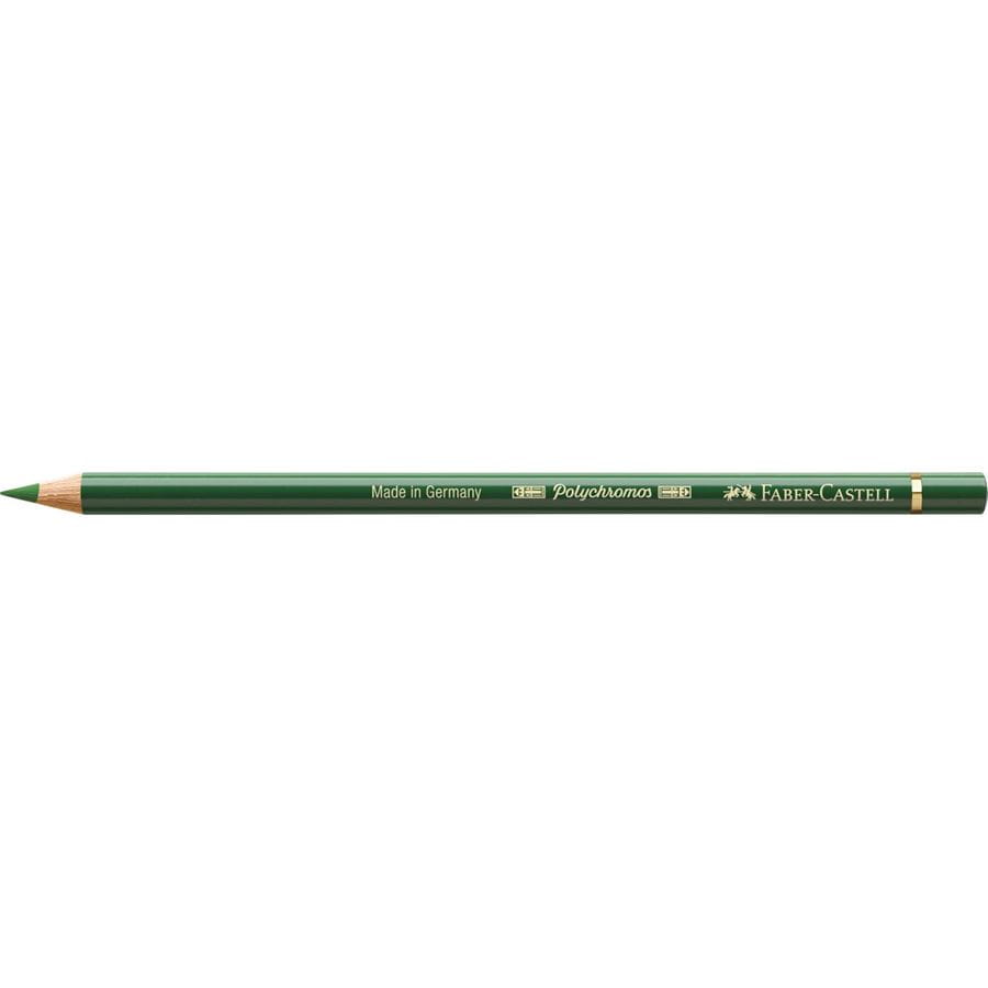 Faber-Castell - Polychromos colour pencil, 167 permanent green olive